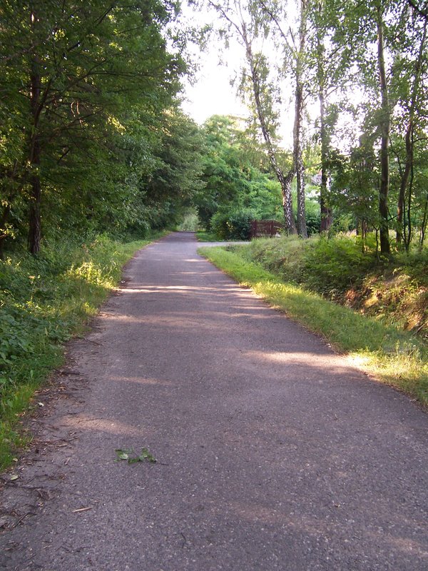 55.jpg