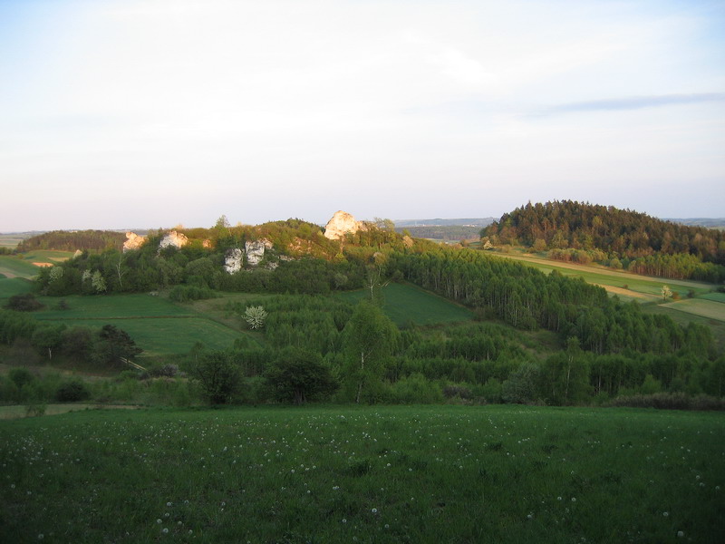 2007.05.03.jpg