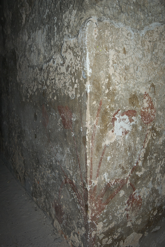 SG104937.jpg