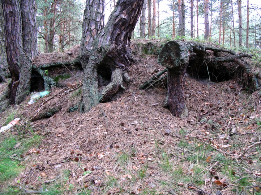 Wyłogi (2).JPG