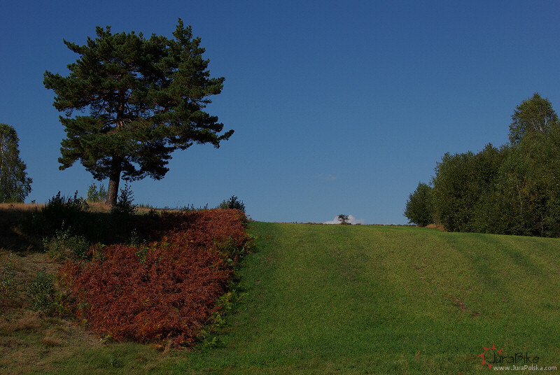 zag_300907.jpg