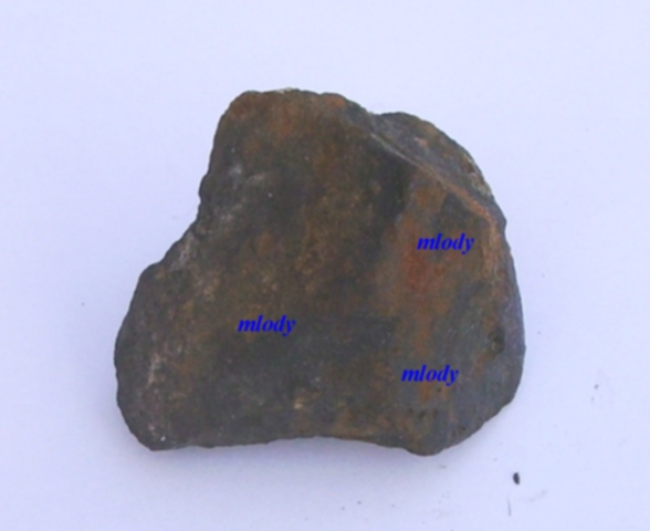 5.JPG