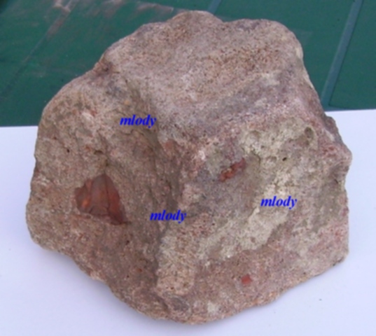 1.JPG