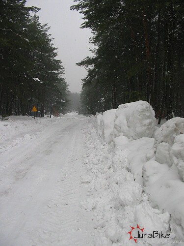 080206_3.jpg