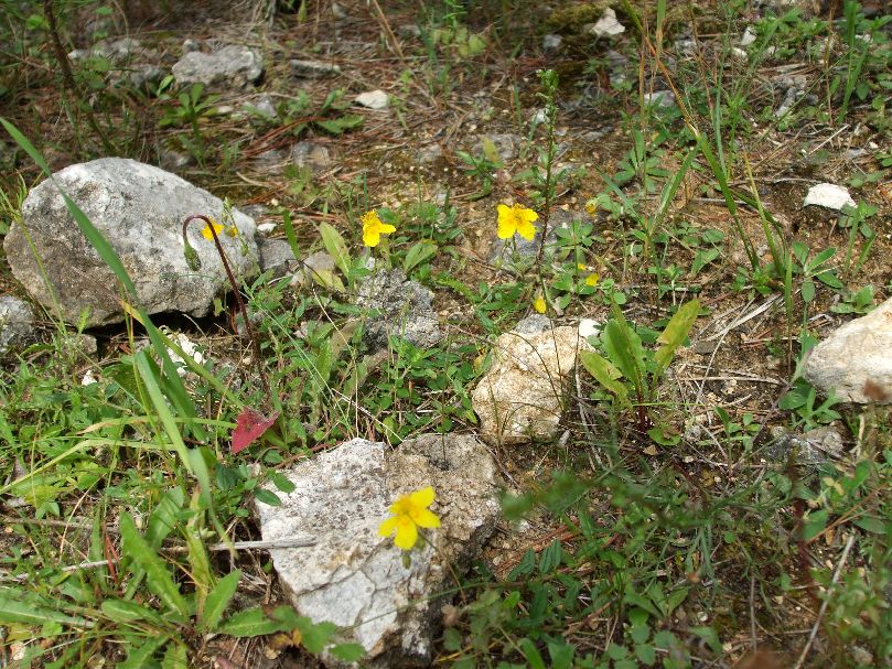 DSCF5539.JPG