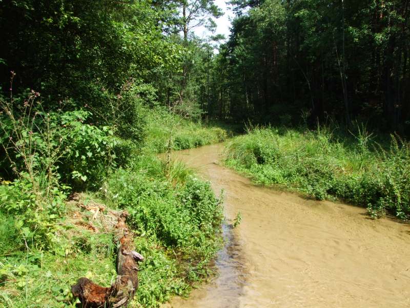 DSCF1278.jpg