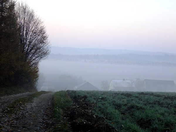 DSCF0001.JPG