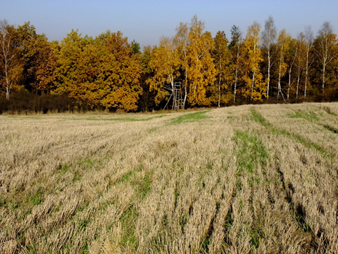 DSCF0051.JPG