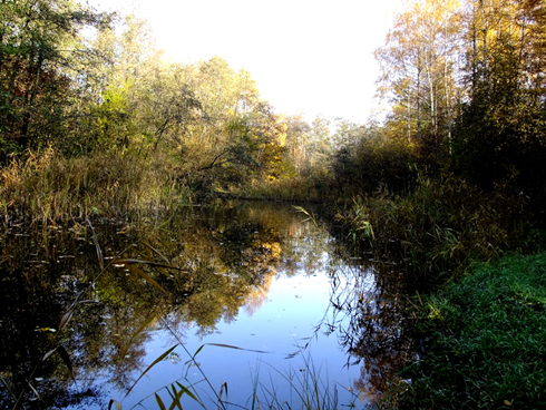 DSCF0053.JPG