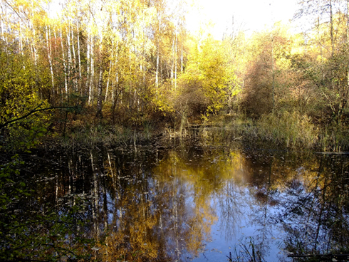 DSCF0054.JPG