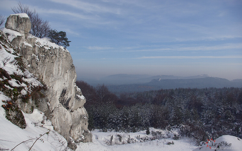 201107_1.jpg
