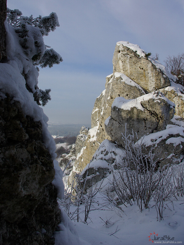 201107_2.jpg