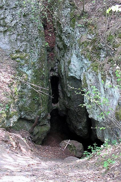 szpatowców.jpg