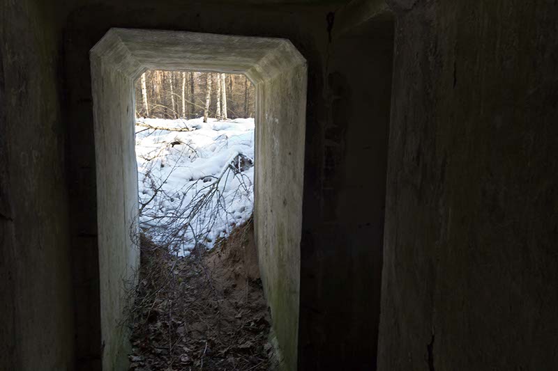 _MG_4494.jpg