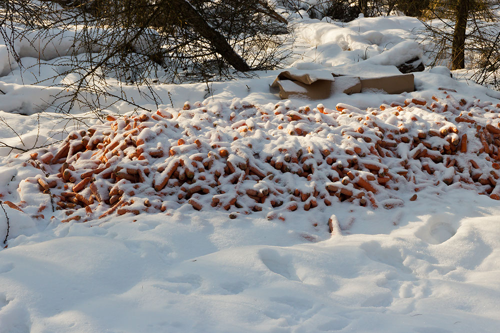 _MG_4488.jpg