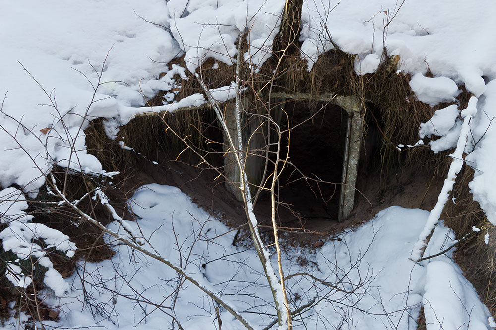 _MG_4478.jpg