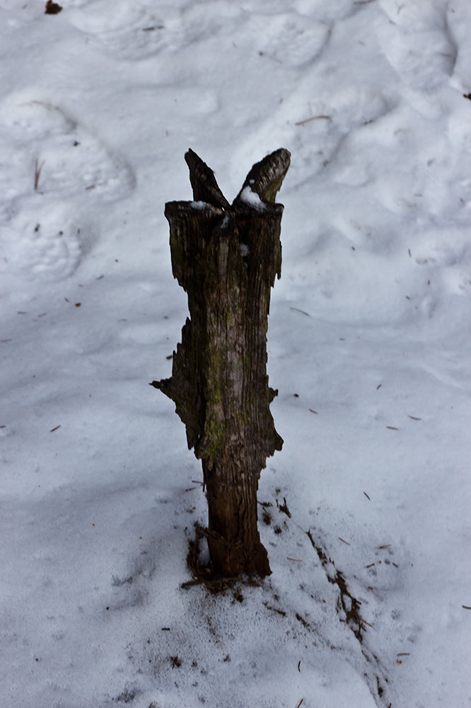 _MG_4472.jpg