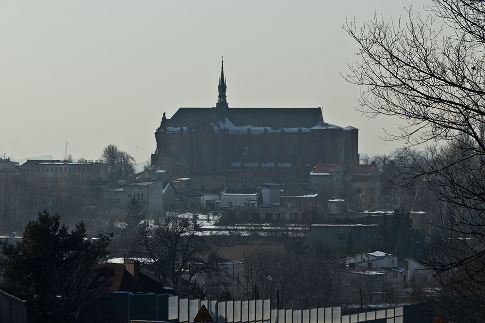 _MG_4570.jpg