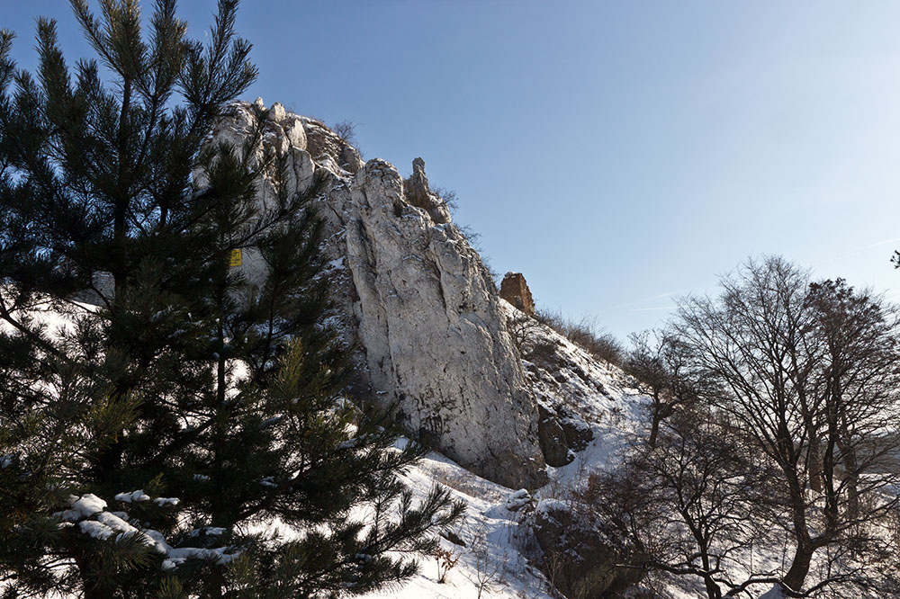 _MG_4561.jpg