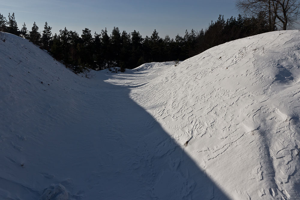 _MG_4559.jpg