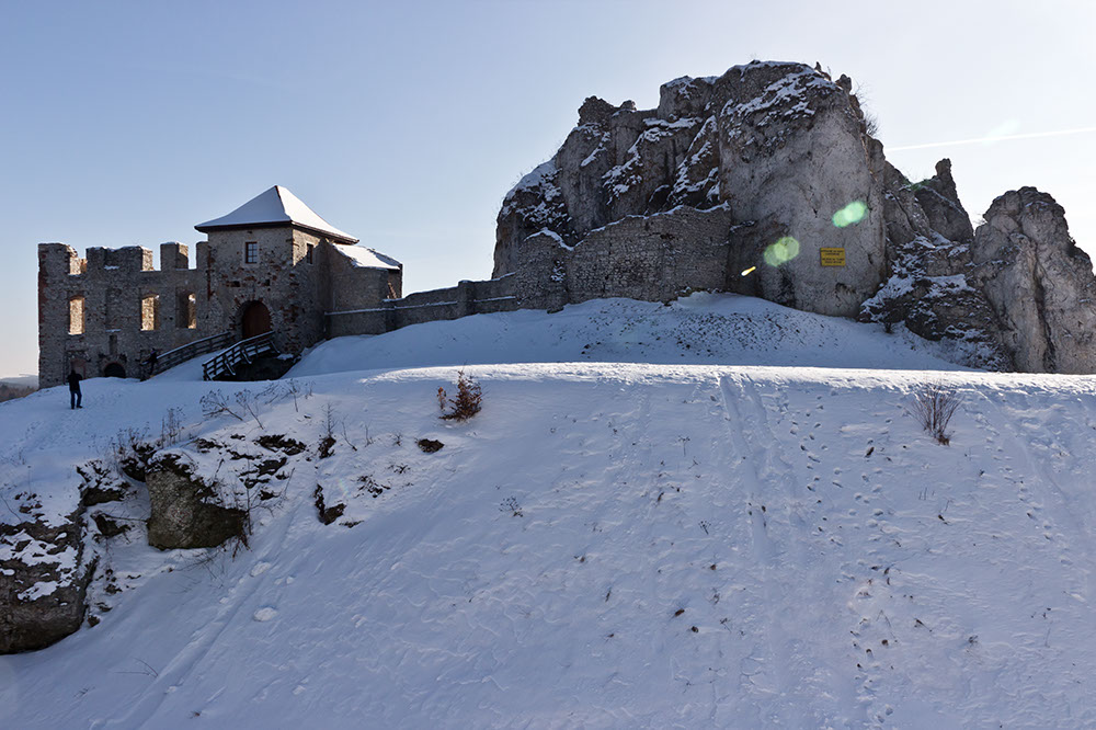 _MG_4557.jpg