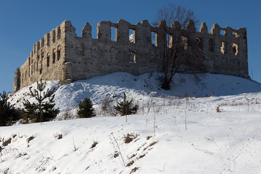 _MG_4541.jpg
