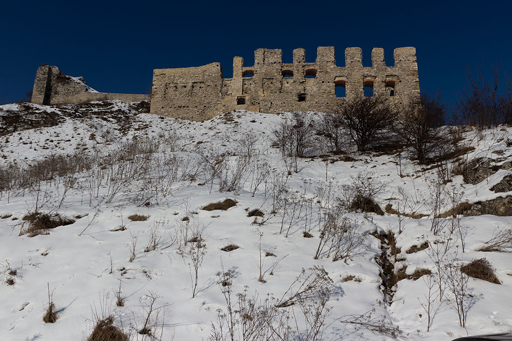 _MG_4536.jpg