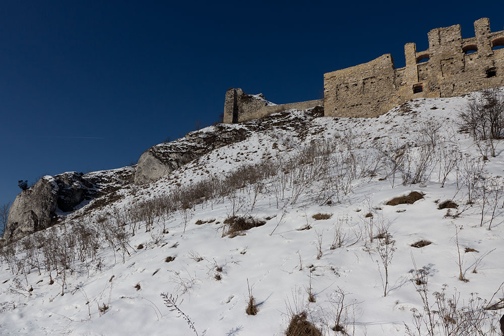 _MG_4535.jpg