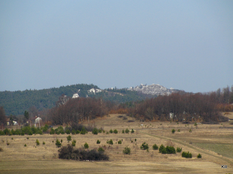 IMG_8299.jpg