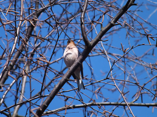 DSCF0014.JPG