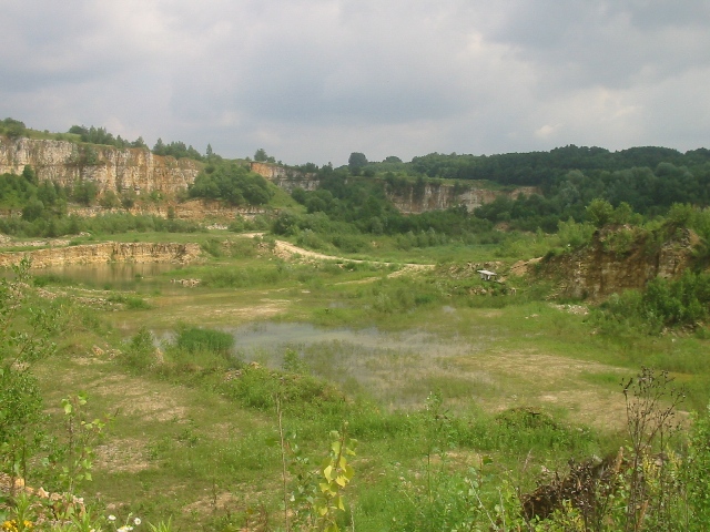 100-0015_IMG.JPG