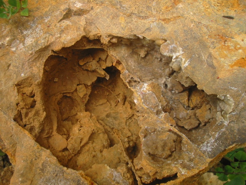 100-0041_IMG.JPG