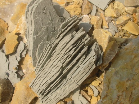 100-0050_IMG.JPG
