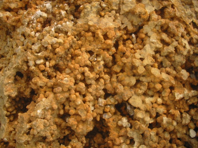 100-0060_IMG.JPG