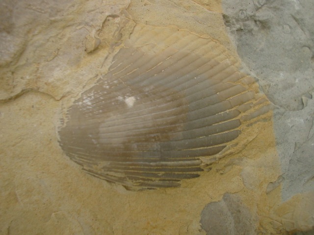 100-0040_IMG.JPG