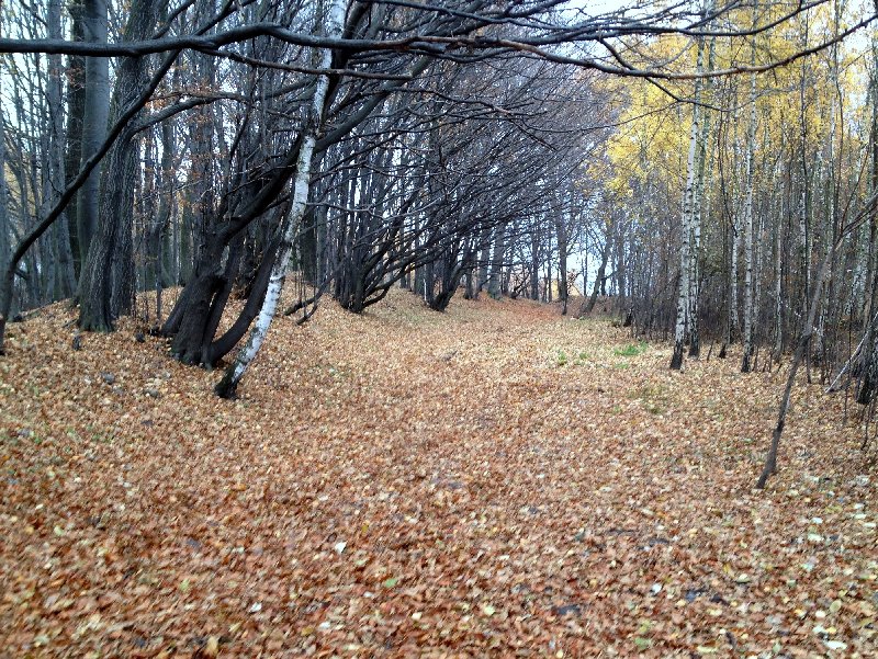 06.jpg