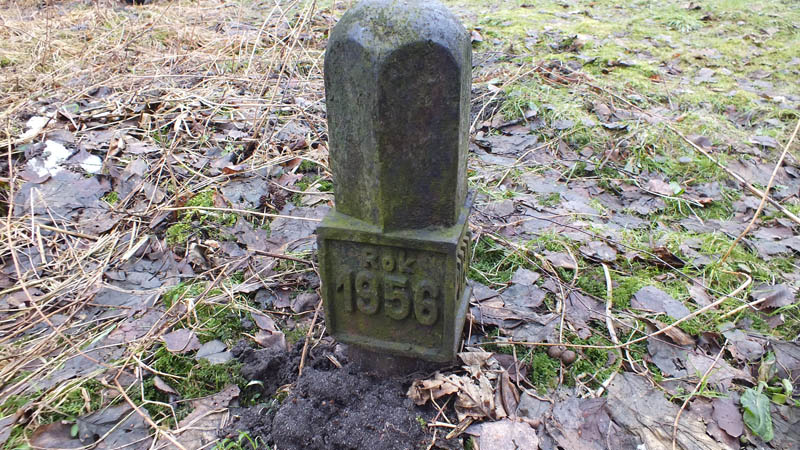 DSCF0122.JPG