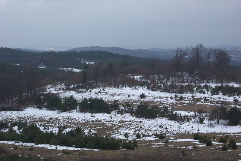 Rzędkowice SG109954.jpg