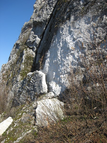 IMG_2024 (Kopiowanie).JPG