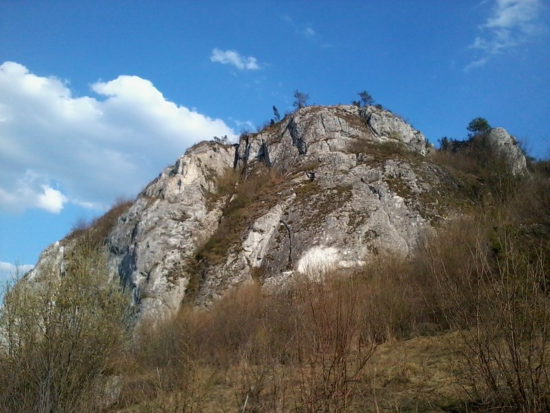 Zdjęcie0034 (Kopiowanie).jpg