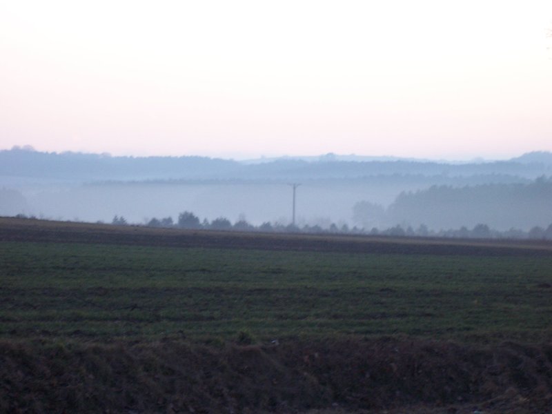 111.jpg