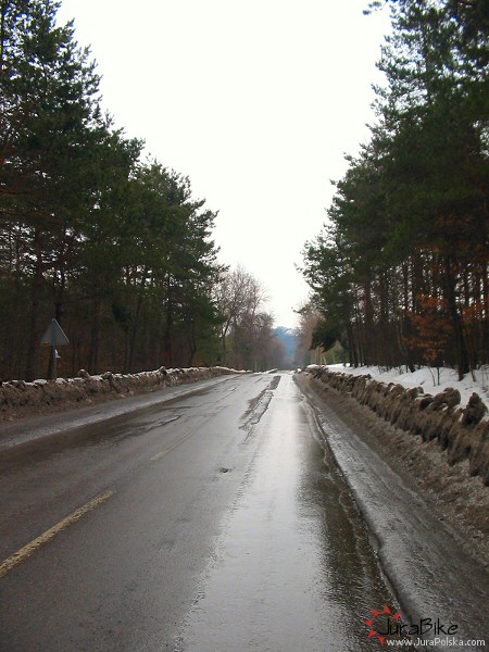 250306_1.jpg