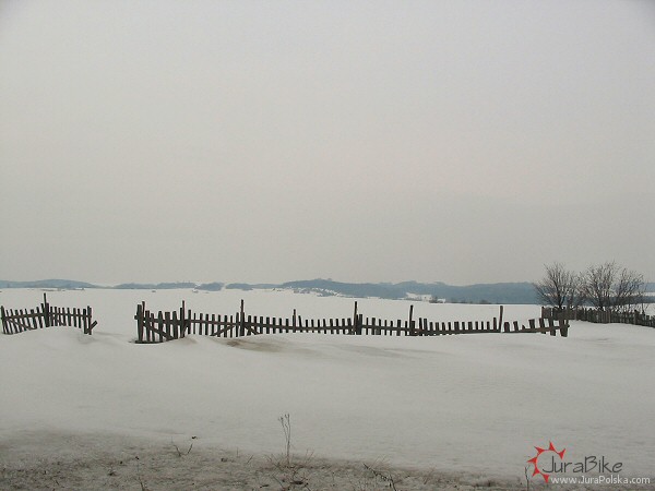 250306_3.jpg