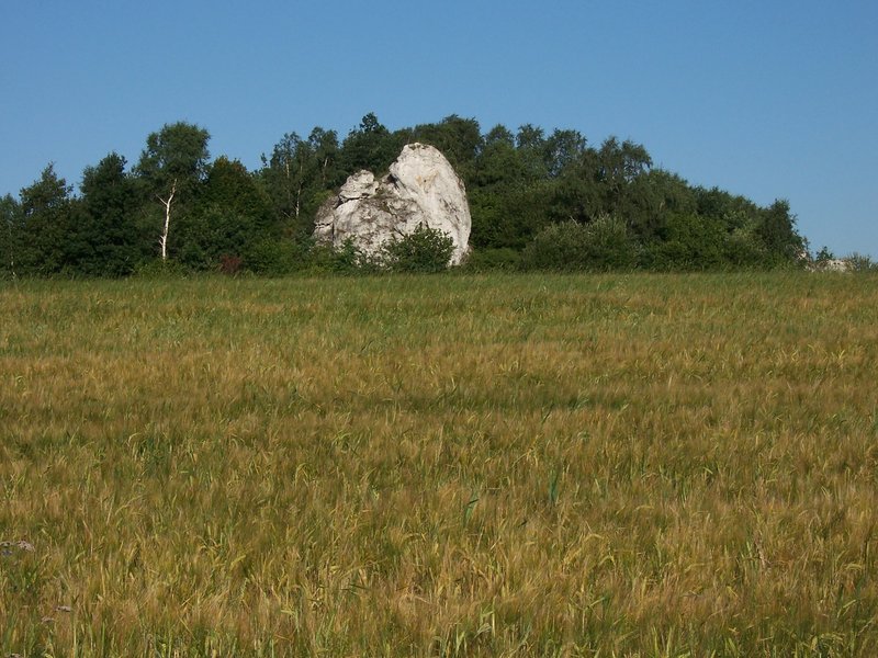 1111.jpg