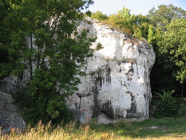 skala.jpg