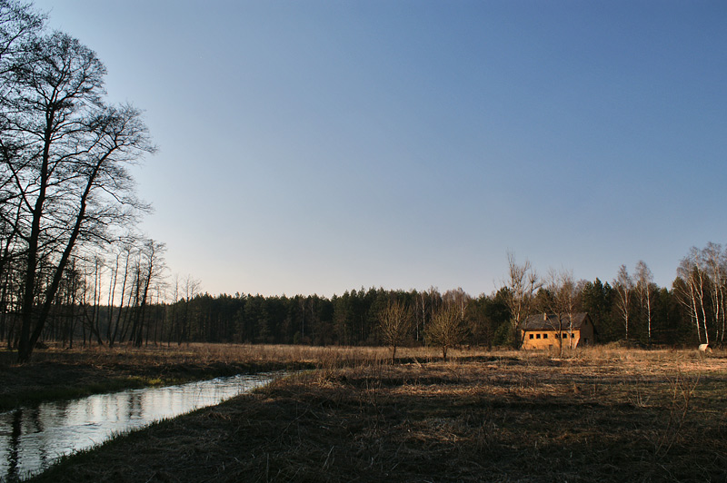 PICT0508.jpg