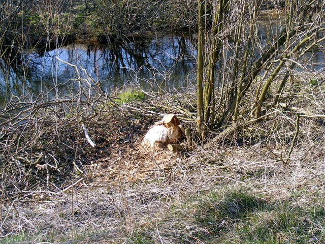 2008_03300154.jpg