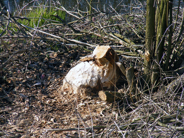 2008_03300153.jpg