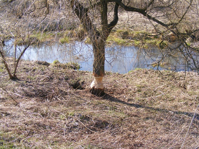 2008_03300151.jpg