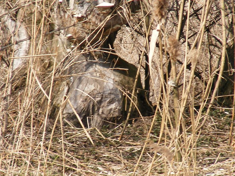 2008_03090079.jpg